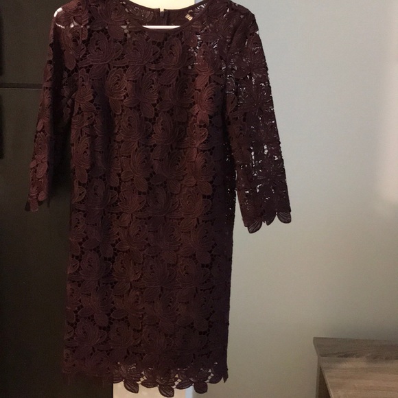 LOFT Lace Dress - Picture 4 of 5